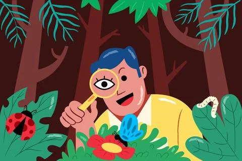 Magnifying And See Insects Behavior Stock Illustration