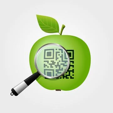 Magnifying glass checking QR-code on green apple イラスト素材
