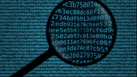 Magnifying glass discovers program word on computer screen Stock Footage 108283549