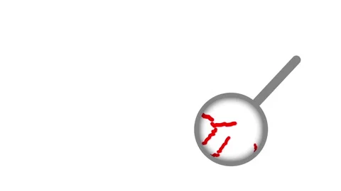 Magnifying glass finding and analyzing bacteria animation Stock Footage 329681002