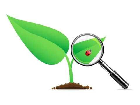 Magnifying glass an ladybug Stock Illustration