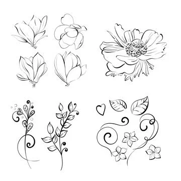 Magnolia and anemone vector pattern. Spring clipart, design element in romantic Stock Illustration