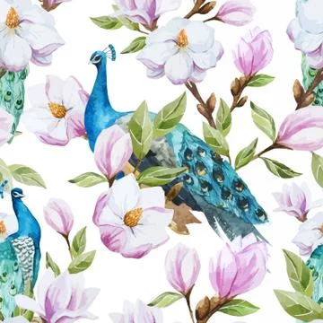 Magnolia and Peacock 스톡 일러스트