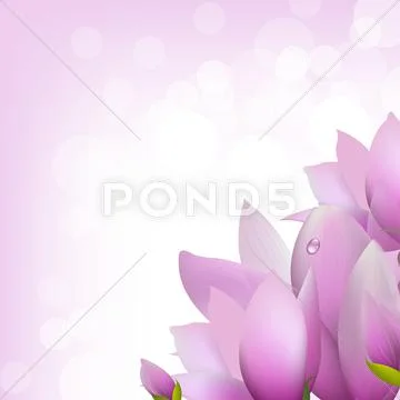Magnolia with bokeh Stock Illustration