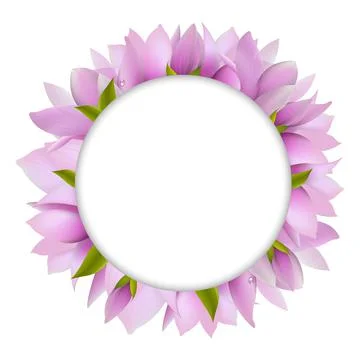 Magnolia With Circle Stock Illustration