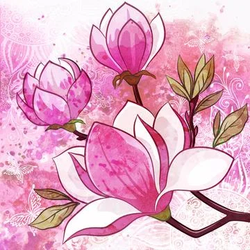 Magnolia Flowers Stock Illustration