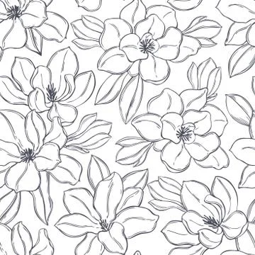 Magnolia flowers. Vector seamless pattern. Stock Illustration