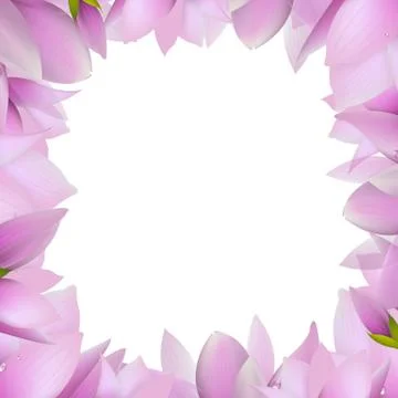 Magnolia frame Stock Illustration