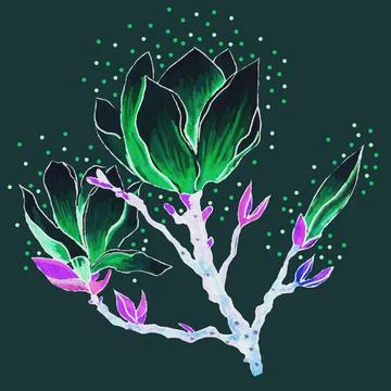 Magnolia Stock Illustration
