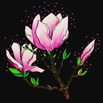 Magnolia Stock Illustration