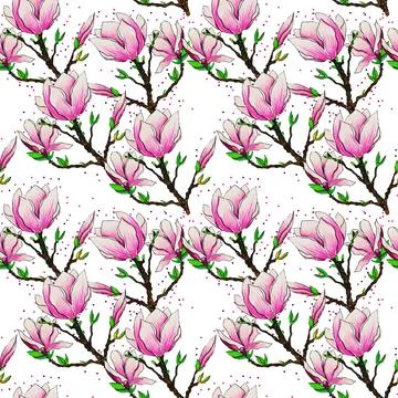 Magnolia Stock Illustration