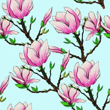 Magnolia Stock Illustration