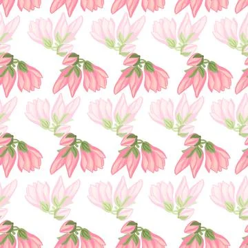 Magnolia seamless pattern. Romantic flower background. Stock Illustration