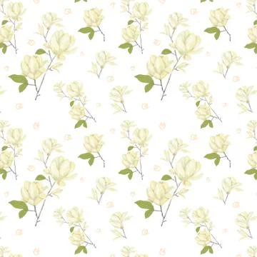 Magnolia seamlless pattern digital clip art watercolor flowers yellor flower  Stock-Illustration