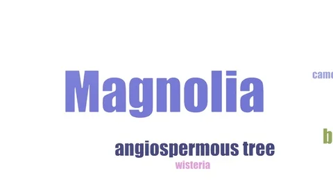 Magnolia Tag Cloud Animated Isolated Stock Footage 103098043