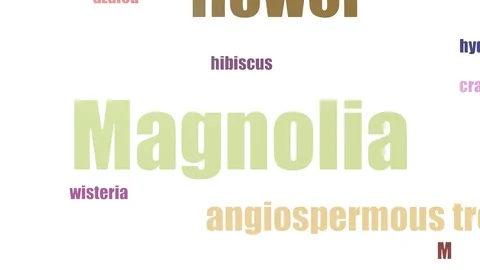 Magnolia Tagcloud Animated On White Background Stock Footage 103095546