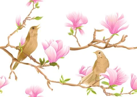 Magnolia tree branch Stock Illustration