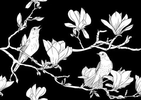Magnolia tree branch Stock Illustration