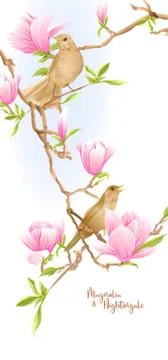 Magnolia tree Illustrazione stock