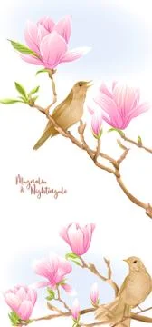 Magnolia tree Stock Illustration