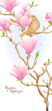 Magnolia tree Stock Illustration