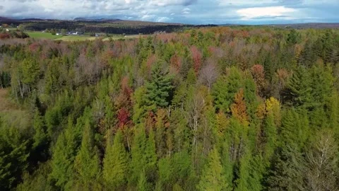 Magog automne 2 Stock Footage 253158448