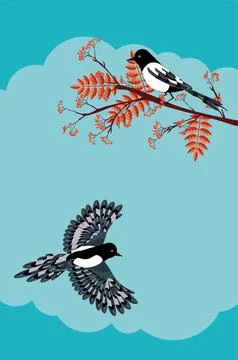 Magpie and rowan Stock Illustration
