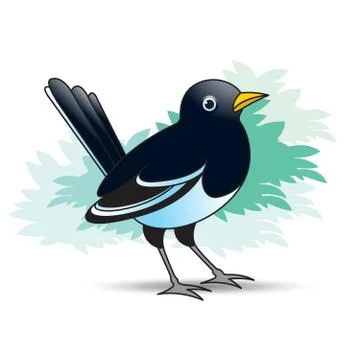 Magpie bird alert Stock Illustration