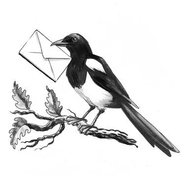 Magpie bird with an envelope Illustrazione stock