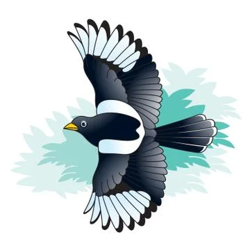 Magpie bird flying over trees Stock Illustration