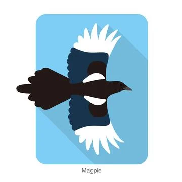 Magpie bird flying in the sky, vector illustration Stock Illustration