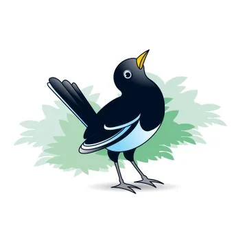 Magpie bird looking up Stock Illustration