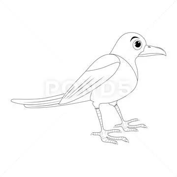 Amazing Bird Outline Drawing Clipart Dove - Bird Outline Drawing  Transparent PNG - 1961x2013 - Free Download on NicePNG