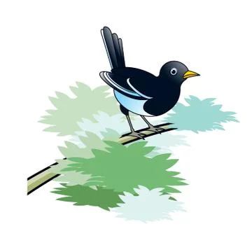Magpie bird ready to fly Stock Illustration