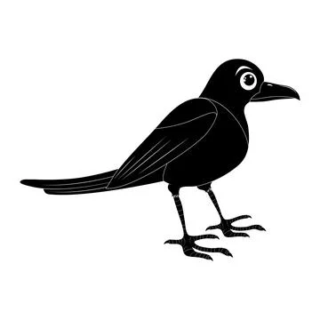 Magpie bird silhouette illustration set . Standing crow animal ornithology de Stock Illustration