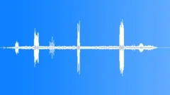 Magpie Chattering CUSound Effect