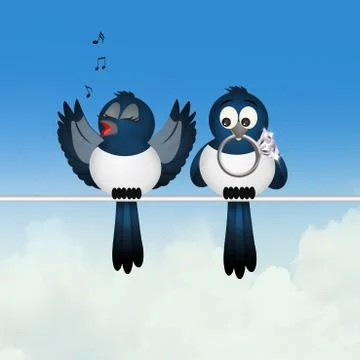Magpie couple on wire Stock Illustration