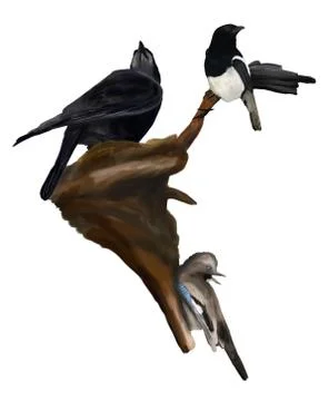 Magpie, crow and jay in a tree Stock-Illustration