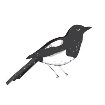 Magpie Crow illustration vector bird color texture element black and white wi Illustrazione stock