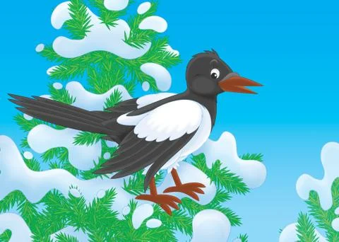Magpie Illustrazione stock