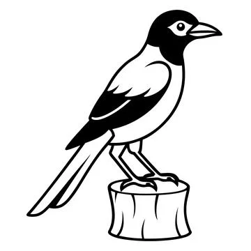 Magpie perched on tree stump vector illustration Stock Illustration