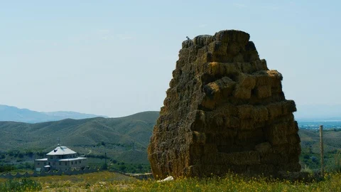 Magpie on the top of big hay stack on flower medow in Armenian mountains 스톡 동영상 94426489