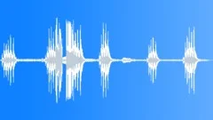 Magpie Warning Call Sound Effect