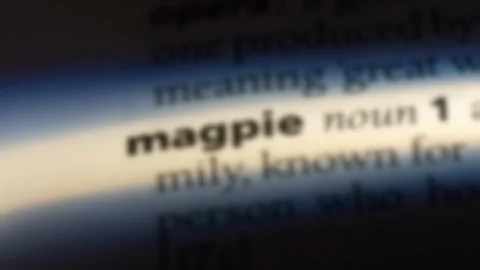 Magpie word in a dictionary. Stock Footage 99563211