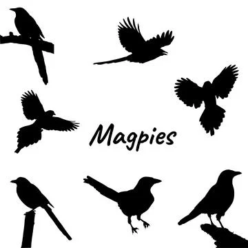 Magpies silhouettes set, vector illustration Stock Illustration