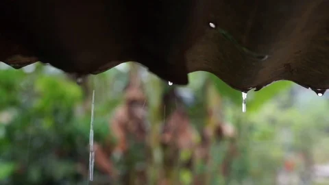 MAH01992 Stock Footage 112605762