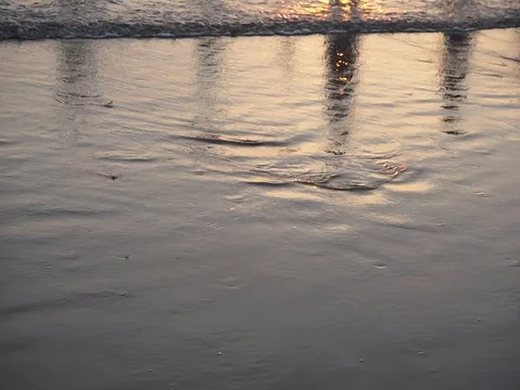 MAH05400 Vídeos de archivo 94199419