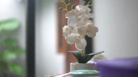 MAH05451 Video stock 300427185