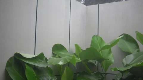 MAH05454 Video stock 300427211