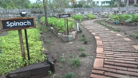 MAH08161 Stock Footage 194074495